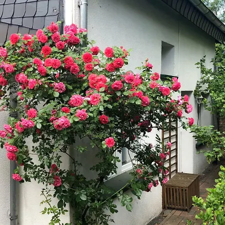 Ferienwohnung Am Schloß Eller - Karlsruher Strasse Apartment Düsseldorf